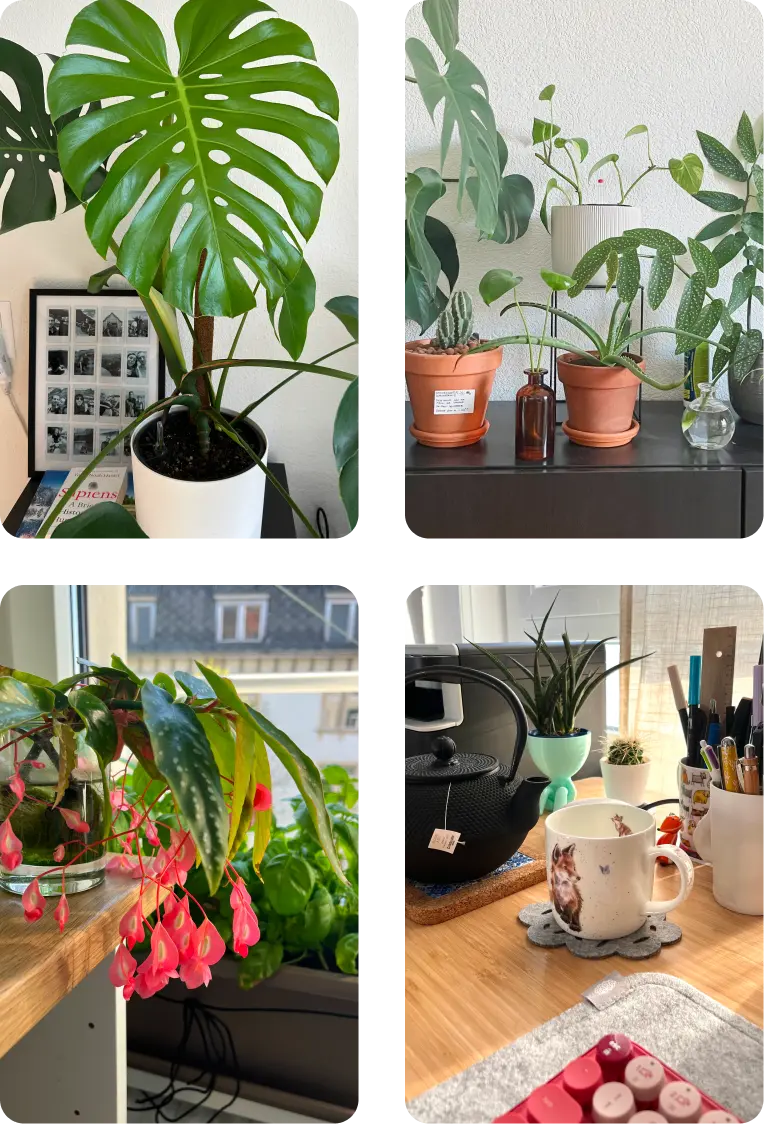 Plants mobile