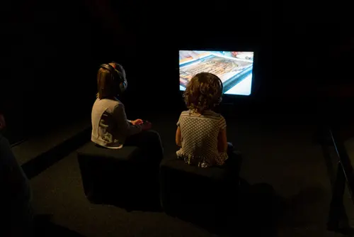 Observing behavioral flows